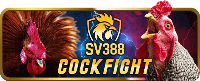 Cấp độ Vàng hala6 win